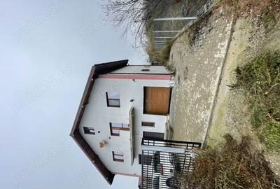 Casa Teghes-Domnesti - 1