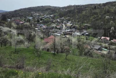 Casă cu 5 camere cu Teren 3000 Mp în Runcu - 8