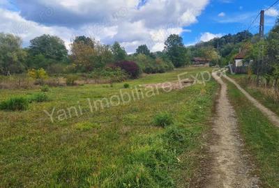 Teren de 2250 mp, în Ioanicești - 6