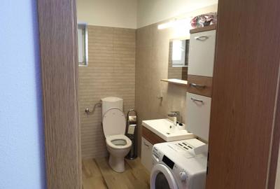Apartament cu 3 camere decomandat, mobilat în Sub Arini - 7