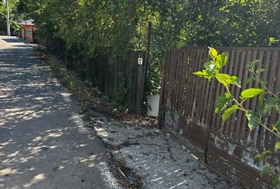 Casă cu 3 camere în Naipu - 2