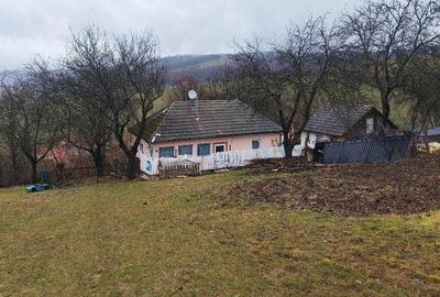 Casă cu Teren 4000 Mp în Hărman - 5