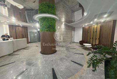 Birouri Cismigiu -Stirbei Voda - 2