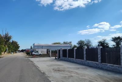 Teren Construcții intravilan de 2000 mp, în Viile Noi - 5