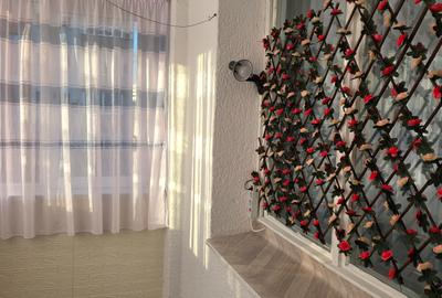 2 camere Dristor -ParkLake - str. Tomis  mobilat utilat - 24