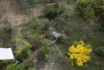 Teren 18,300mp Ghioroc - 7