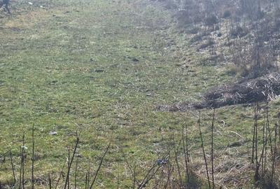 Oportunitate investitie | Teren 2400 mp – Darmanesti, acces la drum - 4