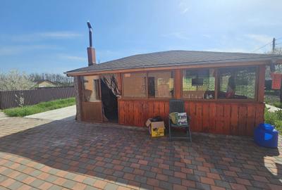 Casă cu 4 camere în Grindu - 3