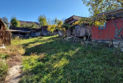 Casă cu 2 camere în Ulieș - 7