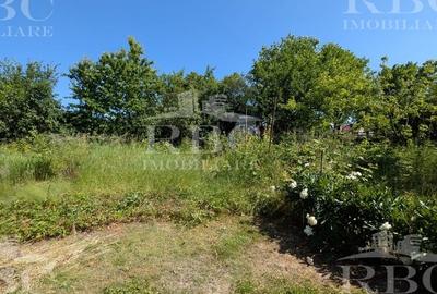 Teren pentru constructie casa in Faget - 11