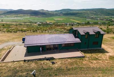 Teren 9.4 ha extravilan + casa 230 mp - 5