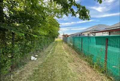 Domnești – teren 750 mp, cu puț, pomi, gard viu, gard bordurat, porti, curat! - 3