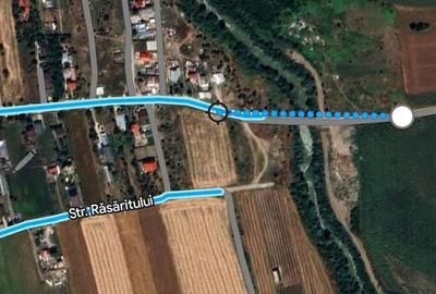 Teren de 5000 mp, în Ciorogârla - 6