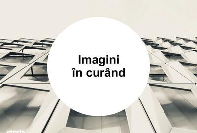 Spațiu comercial, în Pata - 1