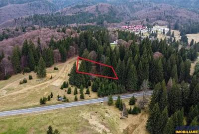 Teren de 1000 mp, în Poiana Brașov - 14