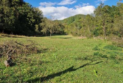 Spațiu comercial, în Hărțăgani - 2