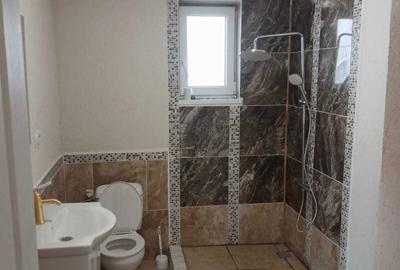 Casă cu 2 camere în Sântandrei - 6