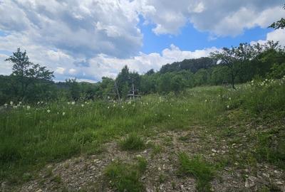 REL4001143 Teren de vanzare in Valea Doftanei - 4