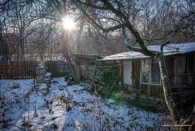 Lucacesti 31 - Confortul unei case, fara grija terenului prea mare - 9