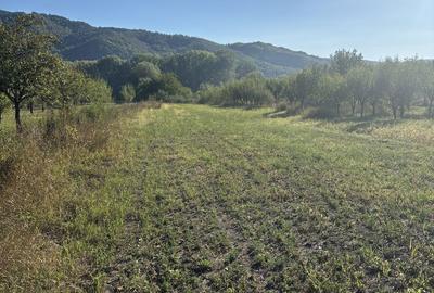 Teren de 4401 mp, în Exterior Vest - 3