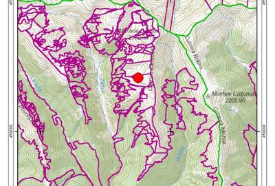 Teren Pasune alpina 22,5ha in comuna Nucsoara, Arges - 2