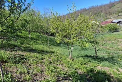 Casă de vânzare în Racoasa – 40 mp + teren 1.400 mp - 4