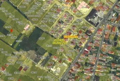 Teren de 750 mp, în Viile Noi - 4