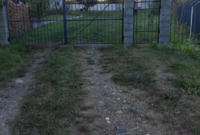 Vand casa cu 10 arii teren - 6