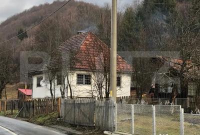 Casă cu 3 camere cu Teren 3300 Mp în Arieșeni - 4