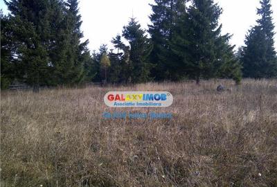 Teren pentru Complex Turistic - 12 730 mp - Vatra Dornei - 2