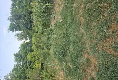 Casa de vanzare + teren ieftina - 8