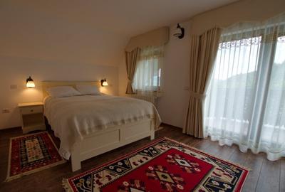 Vanzare domeniu deosebit, vila, anexe si teren cu livada de meri sub padure - 10