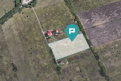 Teren agricol extravilan de 11502 mp, în Ghiroda - 2
