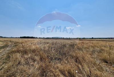 Teren Podari / Fabrica de mobila / 4600 mp / Intravilan - 2