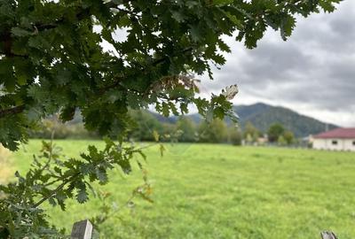 Teren Construcții intravilan de 1023 mp, în Vădurele (Alexandru cel Bun) - 2