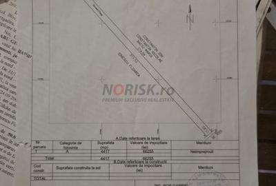 Terenuri Domnesti - 500mp -> 4 Ha - 9