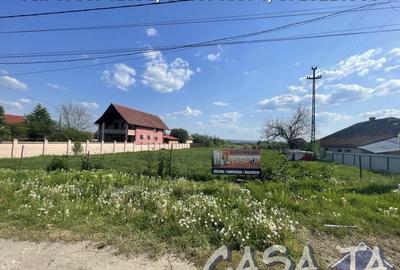 Parcele de Vanzare, Calea Bucuresti - Aleea Sfantu Dumitru - 2