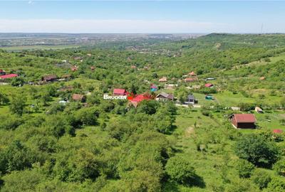 Teren de 2878 mp, în Podgoria - 3
