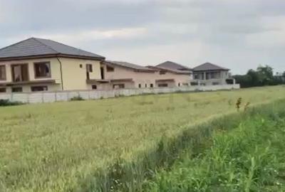 Teren Construcții intravilan de 1588 mp, în Cernica - 4