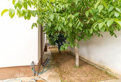 Casa / Vila spatioasa P+1+M de vanzare zona Padurea Cernica - 35