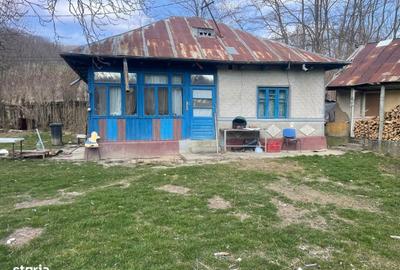 Casă cu 3 camere în Crihan - 5