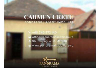 Proprietate unică în zona centrală-Medias - 13