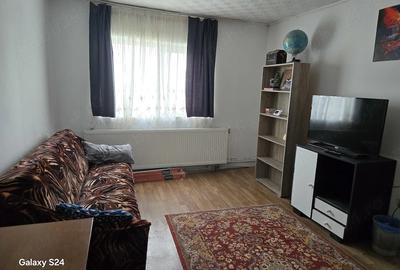 Apartament cu 2 camere decomandat în Remetea Mare - 3