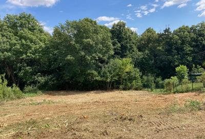 TEREN INTRAVILAN 1000 MP, BUCIUM- BARNOVA, DESCHIDERE LA DRUM 23 M