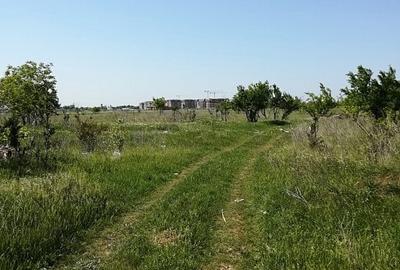 Teren Construcții intravilan în Giurgiului