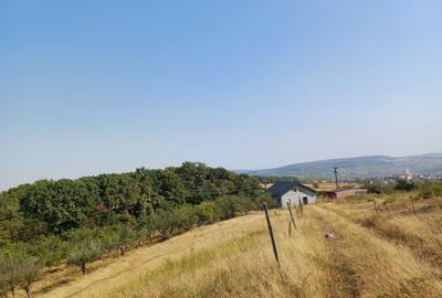 Teren de 250 mp, în Exterior Vest - 2