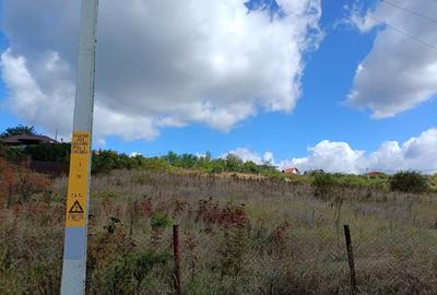 Teren intravilan 500 mp – Tomești, Chicerea – utilități, parcelat - 7