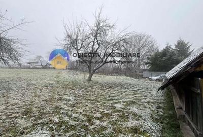 Casă cu 2 camere cu Teren 3054 Mp în Negrești (Dobreni) - 8