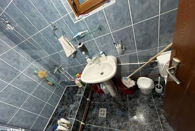 Casă cu 3 camere în Priboiu - 11