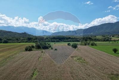 Teren intravilan de vanzare 1180 mp - Zarnesti - 14